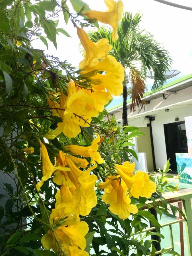 Rawai Whale Resort Exterior photo